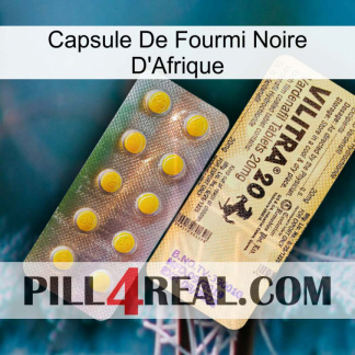 Africa Black Ant Capsule new06